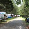 Hedrick Farm - Vendors under the trees!