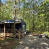 Tiny Cub House