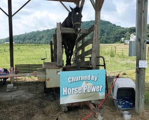 Horse Churned Ice Cream